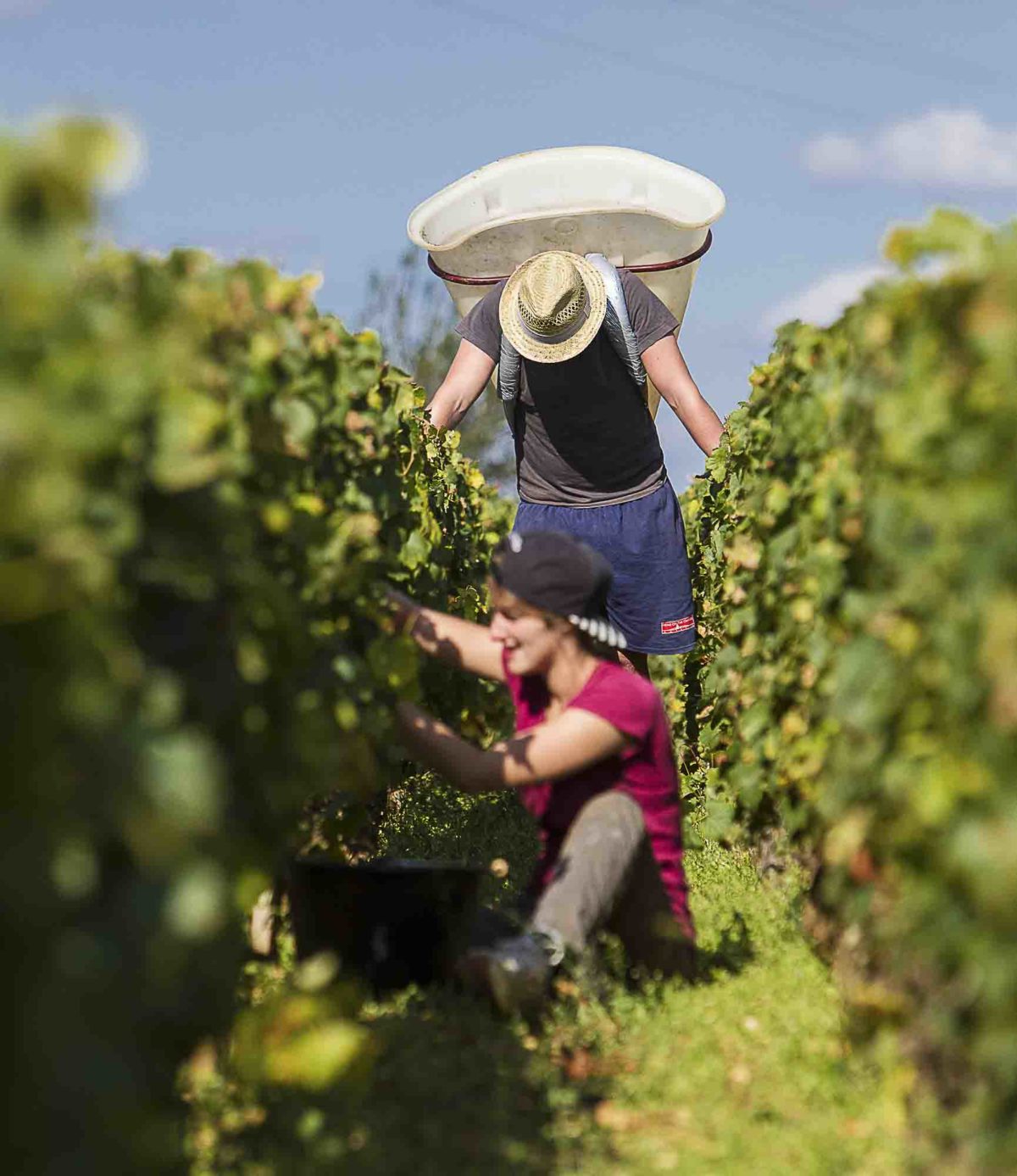 photo-vin-2014-062