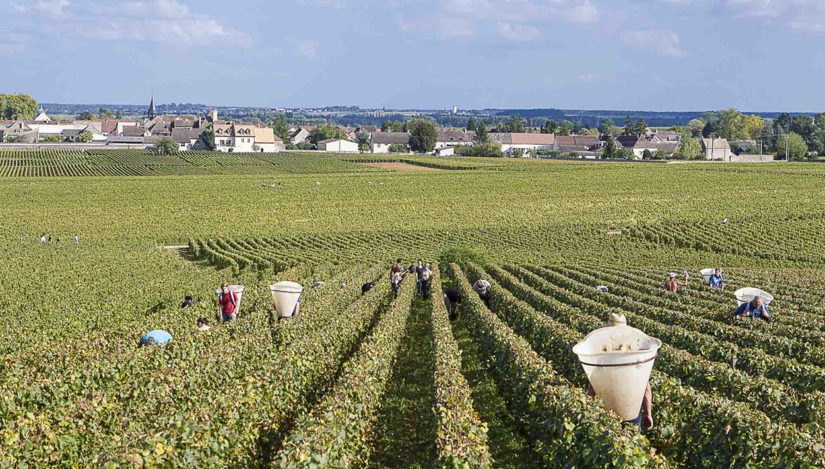 photo-vin-2014-066
