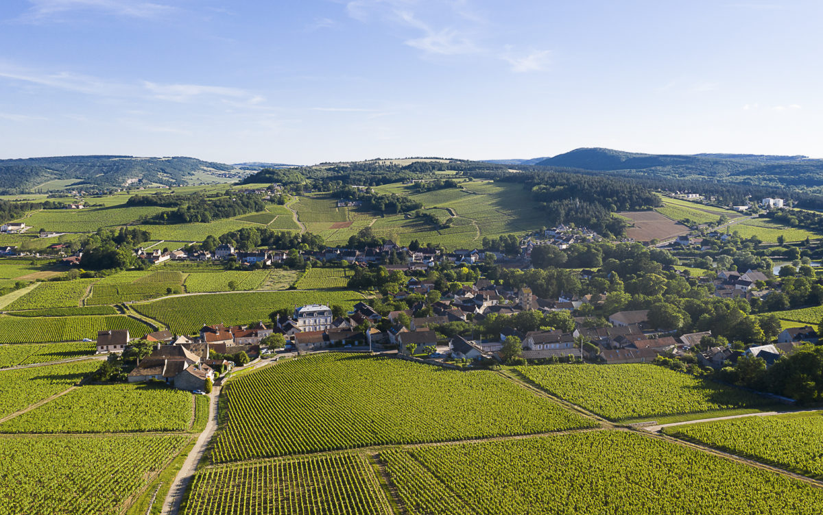 photo-vin-2019-006