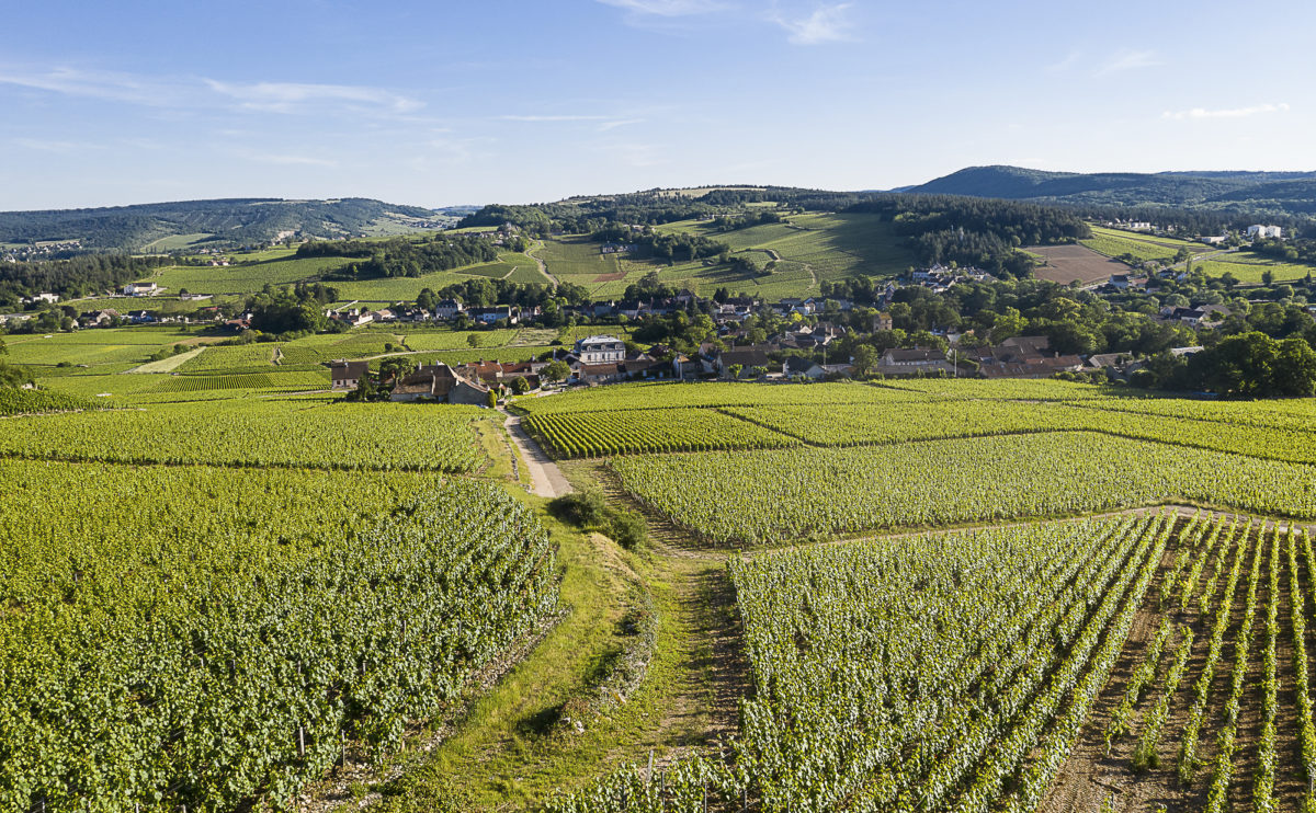 photo-vin-2019-007