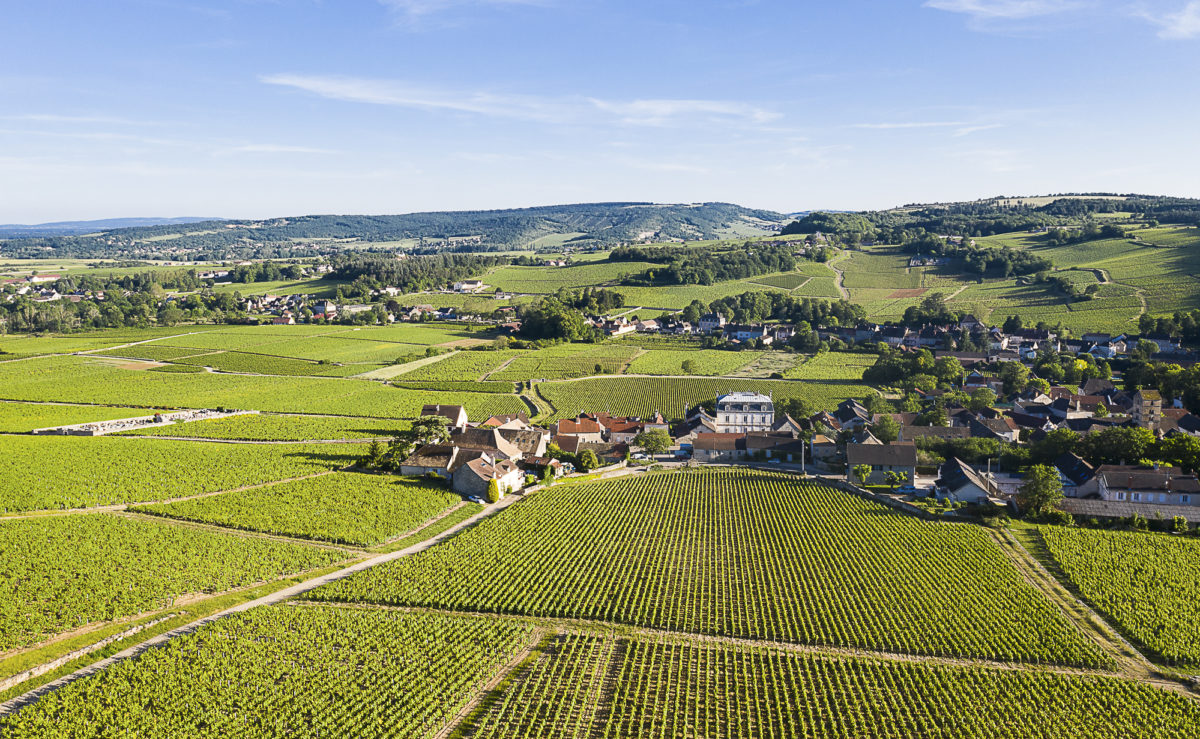 photo-vin-2019-008